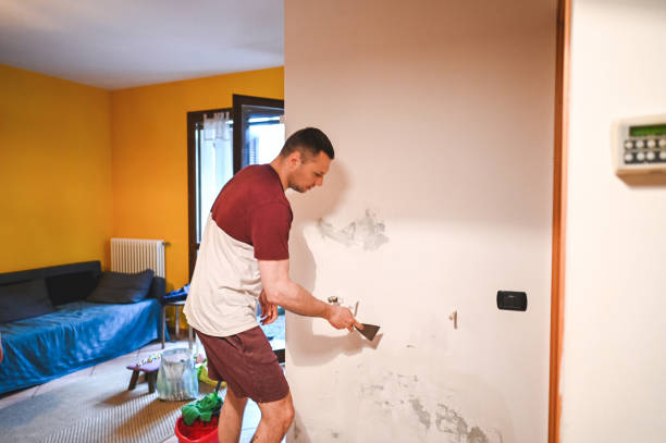 Best Localized Mold Remediation (e.g., coastal areas, humid climates) in Manche North Shore, CA